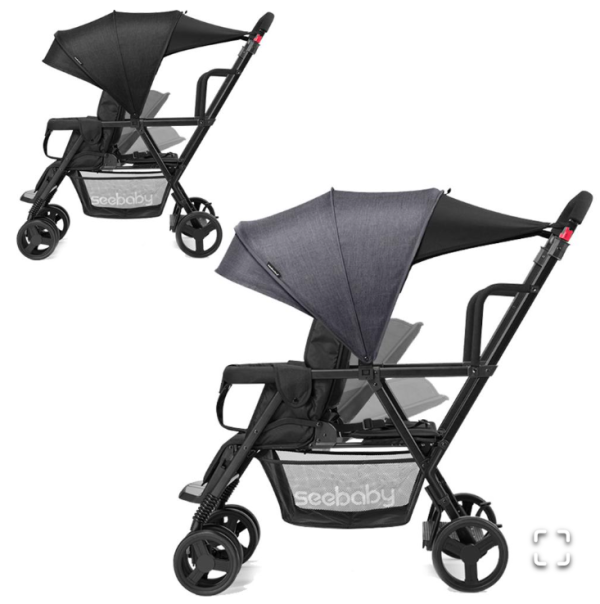 Xe đẩy đôi Seebaby T12 - Ảnh 2