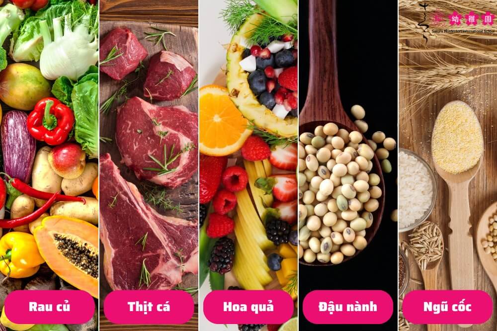 bé dị ứng đạm bò ăn dặm